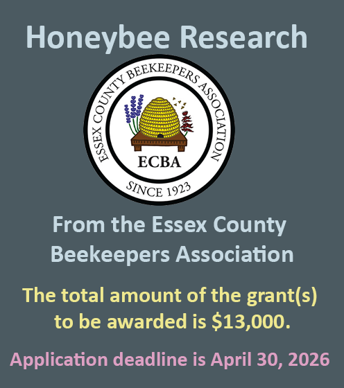 2025 ECBA Grant